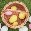Koszyczek Wielkanocny Bolerek 15cm - Sklep z wiklina - zdjęcie 4
